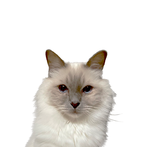 Santtu