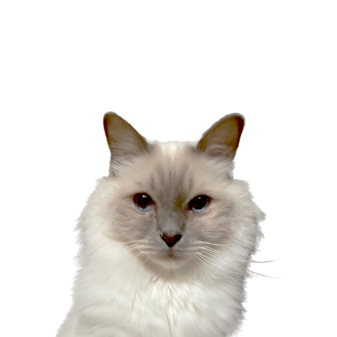 Santtu